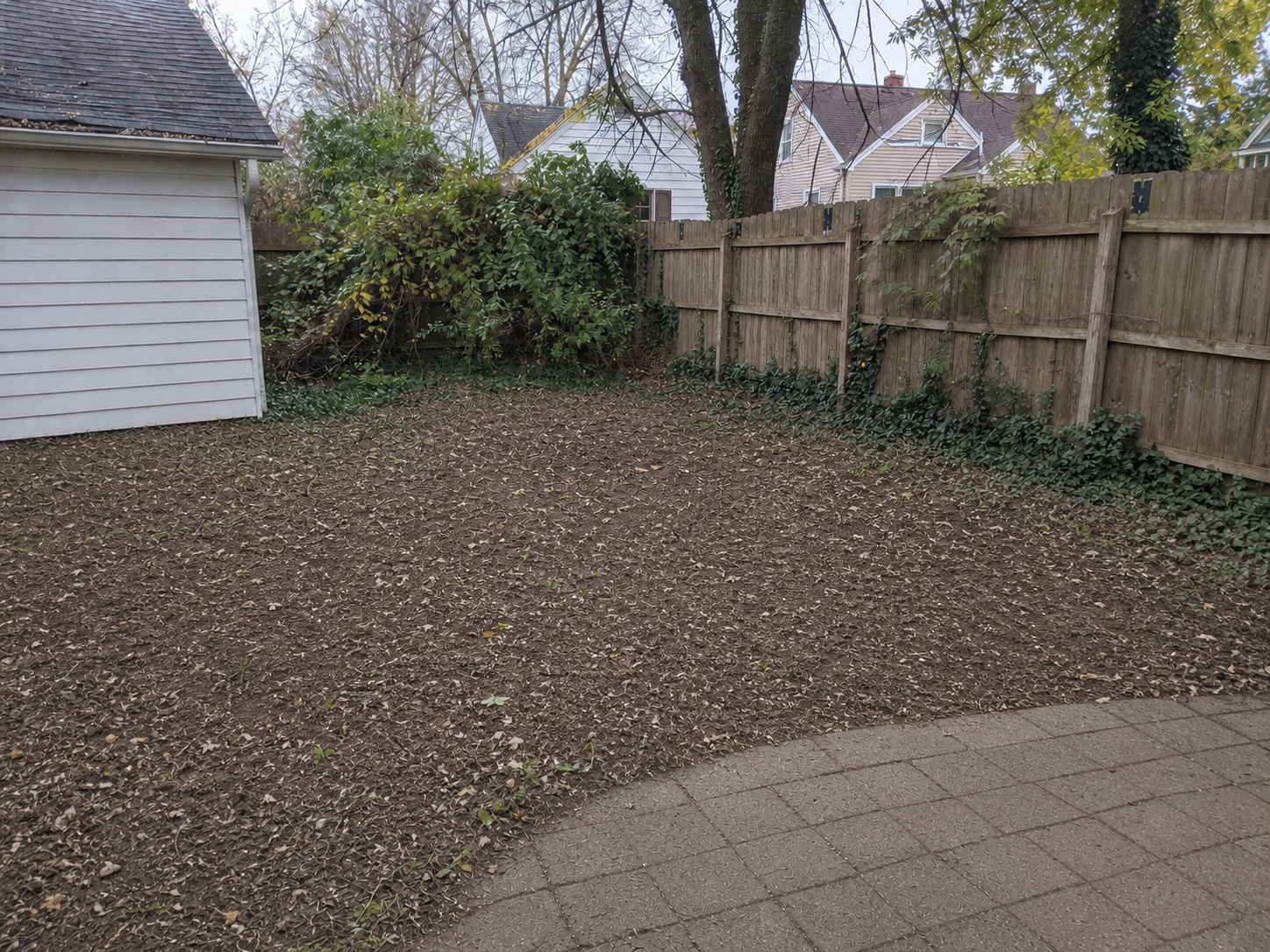Same backyard cleared of branches, bags, and debris after cleanup